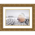 thumbnail image 1 of Blaustein, Alan 24x17 Gold Ornate Wood Framed with Double Matting Museum Art Print Titled - Crescent Beach Shells 15, 1 of 4