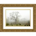 thumbnail image 1 of Blaustein, Alan 24x17 Gold Ornate Wood Framed with Double Matting Museum Art Print Titled - Oak Tree - 62, 1 of 4