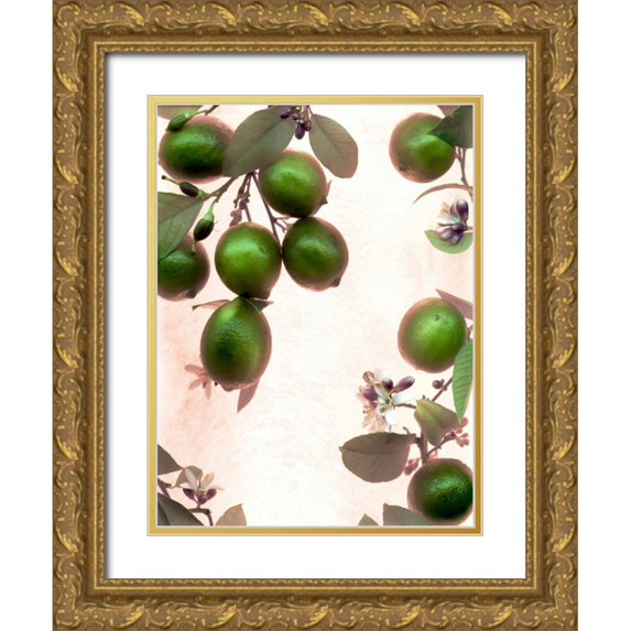 Blaustein, Alan 25x32 Gold Ornate Wood Framed with Double Matting Museum Art Print Titled - Limes - 1