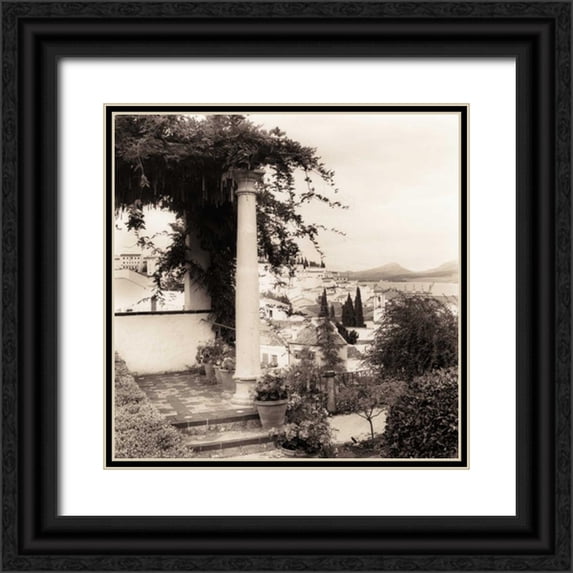 Blaustein, Alan 26x26 Black Ornate Wood Framed with Double Matting Museum Art Print Titled - Jardin del Rey Moro