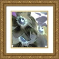 thumbnail image 1 of Blaustein, Alan 26x26 Gold Ornate Wood Framed with Double Matting Museum Art Print Titled - Floral Color - 14, 1 of 4