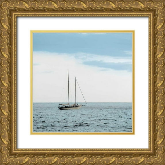 Blaustein, Alan 26x26 Gold Ornate Wood Framed with Double Matting Museum Art Print Titled - Lago Vista - 29