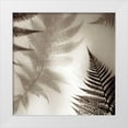thumbnail image 1 of Blaustein, Alan 26x26 White Modern Wood Framed Museum Art Print Titled - Florison - 65, 1 of 4