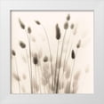 thumbnail image 1 of Blaustein, Alan 26x26 White Modern Wood Framed Museum Art Print Titled - Italian Tall Grass No. 1, 1 of 4