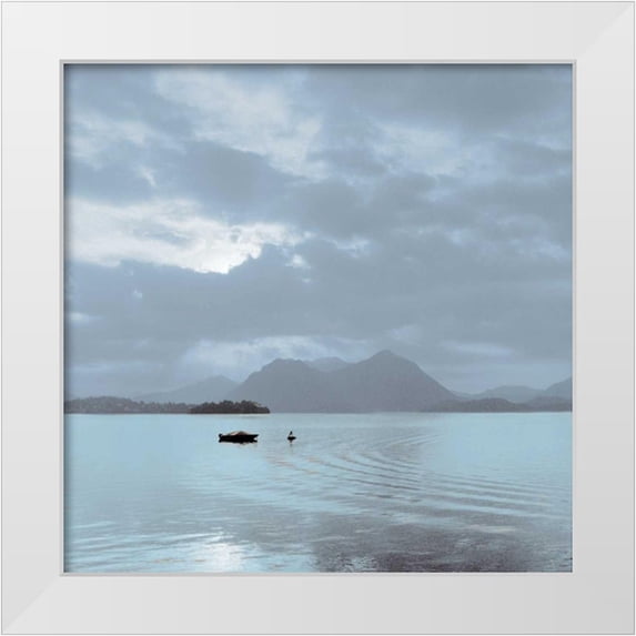 Blaustein, Alan 26x26 White Modern Wood Framed Museum Art Print Titled - Lake Vista - 7