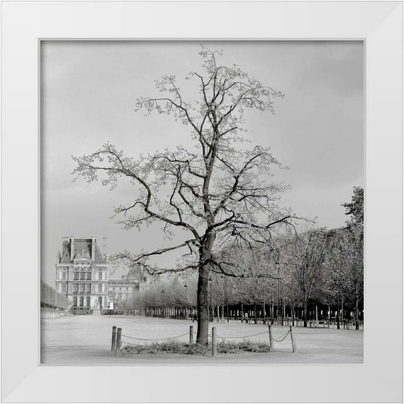 Blaustein, Alan 26x26 White Modern Wood Framed Museum Art Print Titled - Paris - 22