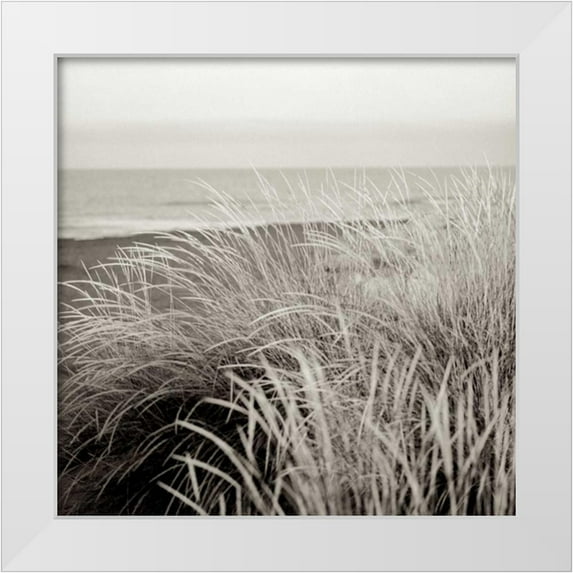 Blaustein, Alan 26x26 White Modern Wood Framed Museum Art Print Titled - Tuscan Coast Dunes - 2
