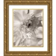 thumbnail image 1 of Blaustein, Alan 26x32 Gold Ornate Wood Framed with Double Matting Museum Art Print Titled - Florison - 5, 1 of 4