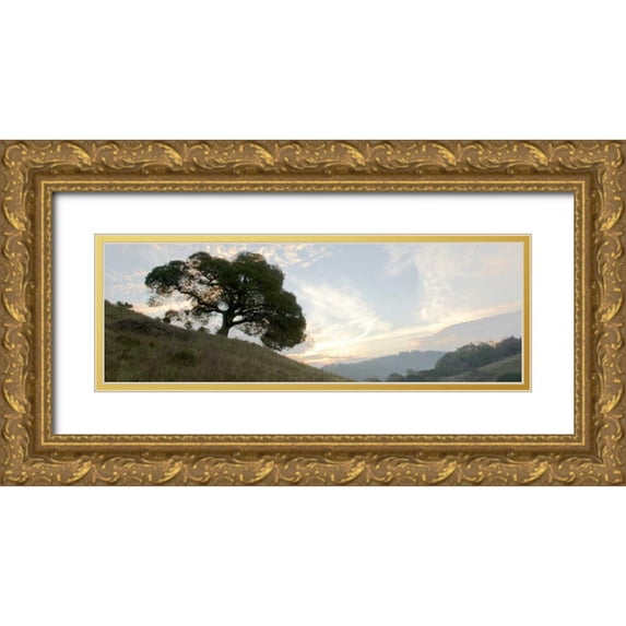 Blaustein, Alan 32x13 Gold Ornate Wood Framed with Double Matting Museum Art Print Titled - Oak Tree - 13