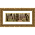 thumbnail image 1 of Blaustein, Alan 32x13 Gold Ornate Wood Framed with Double Matting Museum Art Print Titled - Oak Tree - 23, 1 of 4