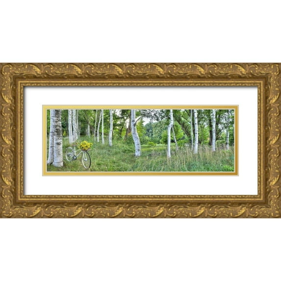 Blaustein, Alan 32x13 Gold Ornate Wood Framed with Double Matting Museum Art Print Titled - Sunflower Bike Ride No.4