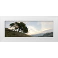 thumbnail image 1 of Blaustein, Alan 32x13 White Modern Wood Framed Museum Art Print Titled - Oak Tree - 13, 1 of 4