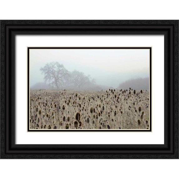 Blaustein, Alan 32x23 Black Ornate Wood Framed with Double Matting Museum Art Print Titled - Oak Tree - 61