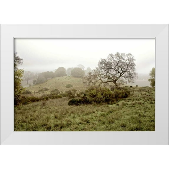 Blaustein, Alan 32x23 White Modern Wood Framed Museum Art Print Titled - Oak Tree - 42