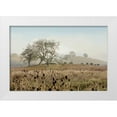 thumbnail image 1 of Blaustein, Alan 32x23 White Modern Wood Framed Museum Art Print Titled - Oak Tree - 68, 1 of 4