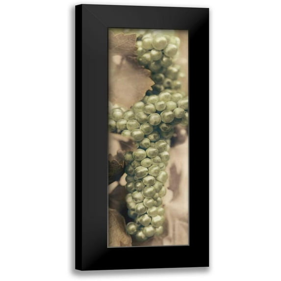 Blaustein, Alan 7x14 Black Modern Framed Museum Art Print Titled - Chardonnay