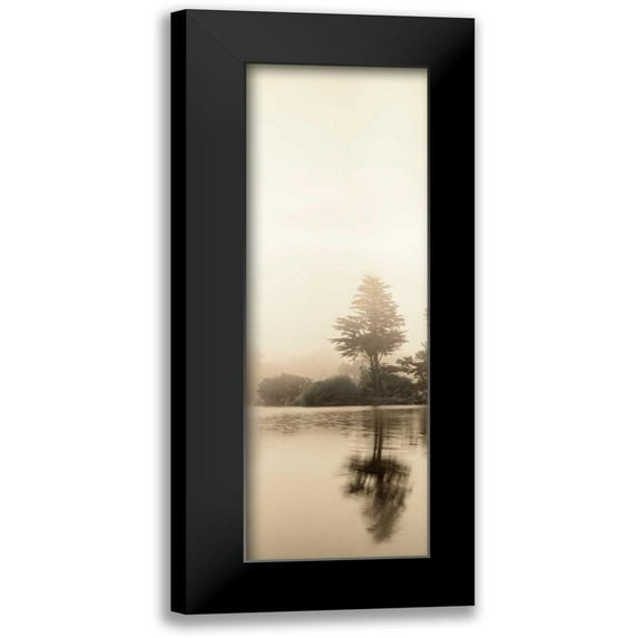 Blaustein, Alan 7x14 Black Modern Framed Museum Art Print Titled - Lakeside Tree - 1