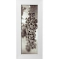 thumbnail image 1 of Blaustein, Alan 7x14 White Modern Wood Framed Museum Art Print Titled - Grapes Pano - 3, 1 of 4