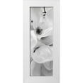 thumbnail image 1 of Blaustein, Alan 7x14 White Modern Wood Framed Museum Art Print Titled - Magnolia - 1, 1 of 4