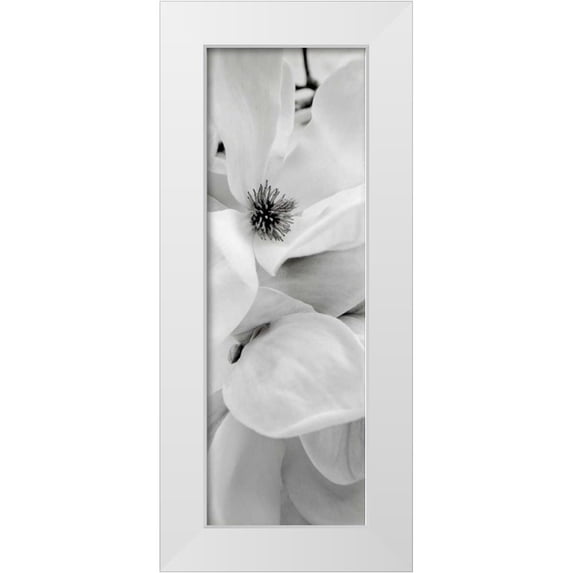 Blaustein, Alan 7x14 White Modern Wood Framed Museum Art Print Titled - Magnolia - 1
