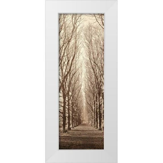Blaustein, Alan 7x14 White Modern Wood Framed Museum Art Print Titled - Poplar Trees