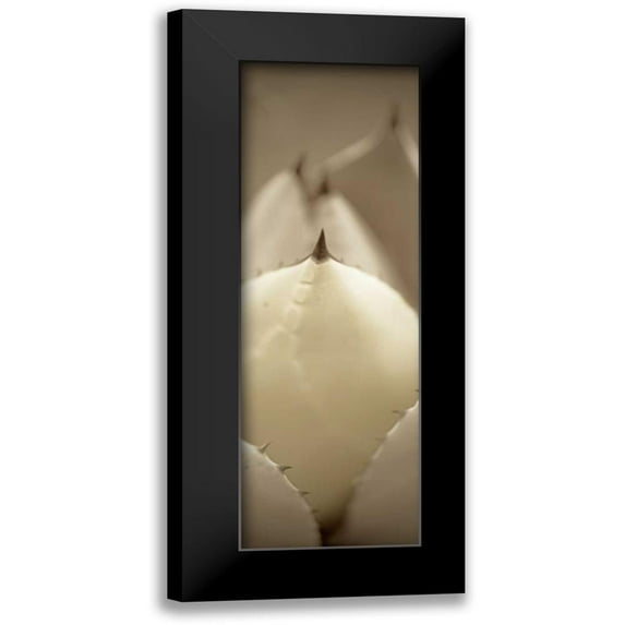 Alan Blaustein 9x18 Black Modern Wood Framed Wall Art Titled - Florison - 67