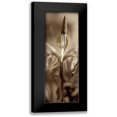 thumbnail image 1 of Blaustein, Alan 9x18 Black Modern Framed Museum Art Print Titled - Florison - 74, 1 of 5