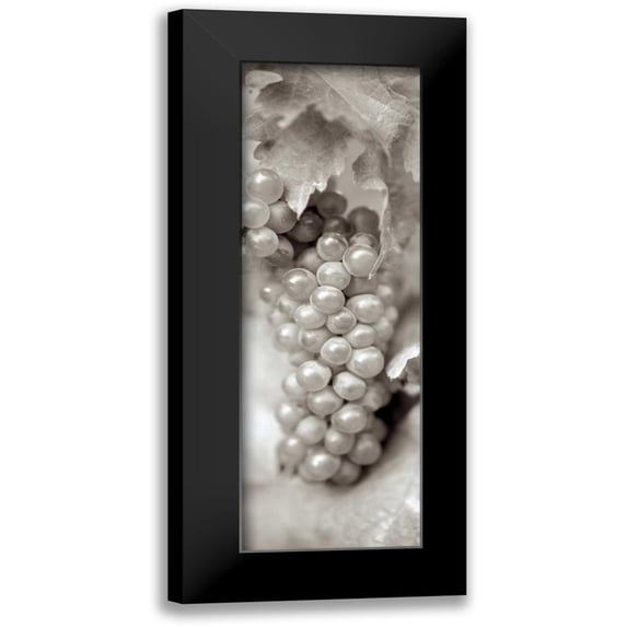Blaustein, Alan 9x18 Black Modern Framed Museum Art Print Titled - Grapes Pano - 5