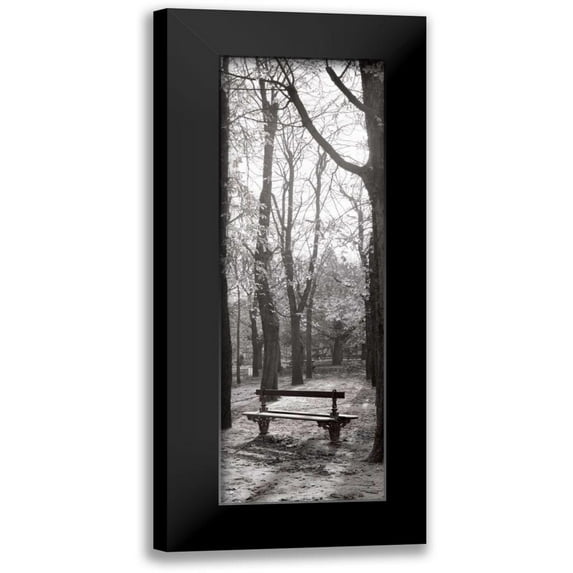 Blaustein, Alan 9x18 Black Modern Framed Museum Art Print Titled - Jardin du Luxembourg Banc
