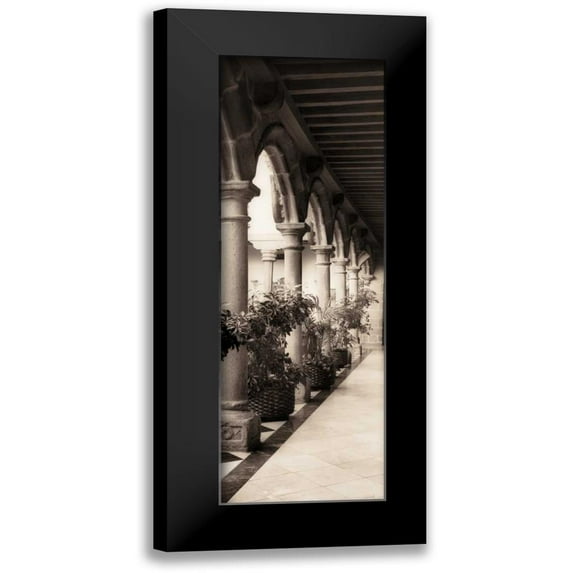 Blaustein, Alan 9x18 Black Modern Framed Museum Art Print Titled - Palacio de Valdespino