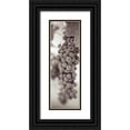 thumbnail image 1 of Blaustein, Alan 9x18 Black Ornate Wood Framed with Double Matting Museum Art Print Titled - Grapes Pano - 3, 1 of 4