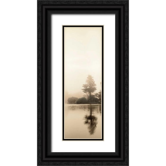 Blaustein, Alan 9x18 Black Ornate Wood Framed with Double Matting Museum Art Print Titled - Lakeside Tree - 1