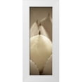 thumbnail image 1 of Blaustein, Alan 9x18 White Modern Wood Framed Museum Art Print Titled - Florison - 67, 1 of 4