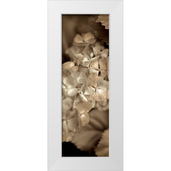 Blaustein, Alan 9x18 White Modern Wood Framed Museum Art Print Titled - Florison - 90