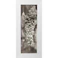 thumbnail image 1 of Blaustein, Alan 9x18 White Modern Wood Framed Museum Art Print Titled - Grapes Pano - 18, 1 of 4