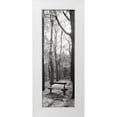 thumbnail image 1 of Blaustein, Alan 9x18 White Modern Wood Framed Museum Art Print Titled - Jardin du Luxembourg Banc, 1 of 4