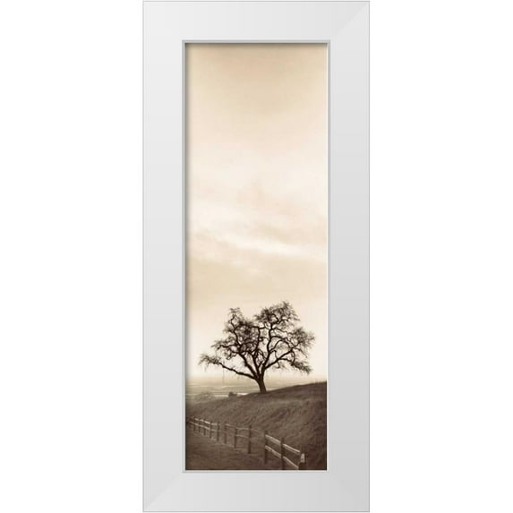 Blaustein, Alan 9x18 White Modern Wood Framed Museum Art Print Titled - Sentinel Oak Tree