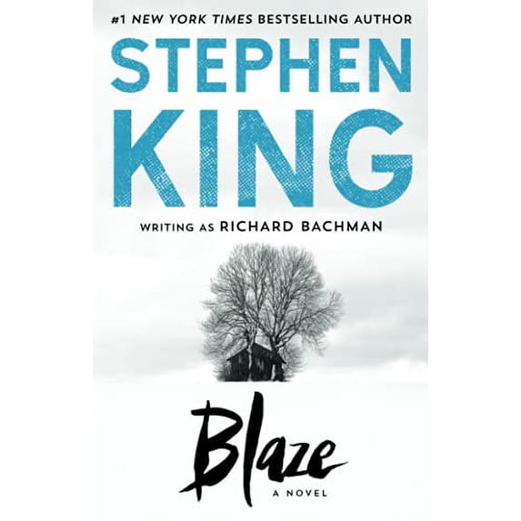 Pre-Owned Blaze (Paperback) 1501195913 9781501195914