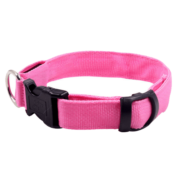 Blazin LED Light Up Dog Collar Feet of Visibility - Brightest for Night Safety