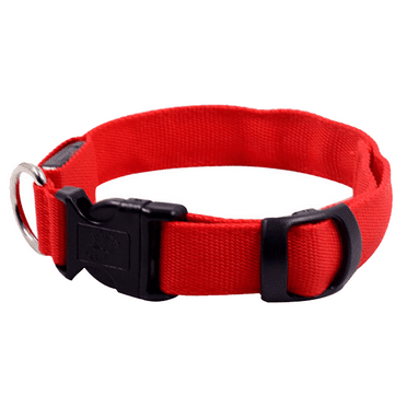 Blazin LED Light Up Dog Collar Feet of Visibility - Brightest for Night Safety