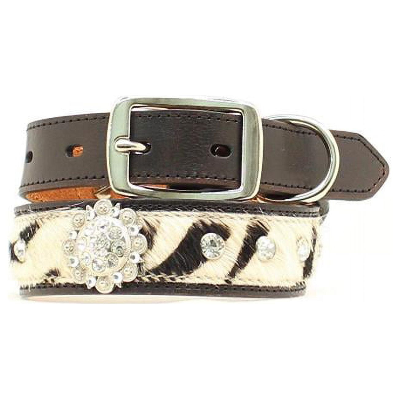 Blazin roxx dog collars hotsell