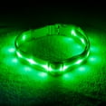 thumbnail image 1 of Blazin' Safety Rechargeable Light Up LED Dog Collar (Large, Green), 1 of 6