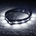 thumbnail image 1 of Blazin' Safety Rechargeable Lighted LED Dog Collar (Large, Black), 1 of 6