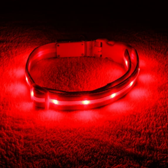 Blazin' Safety Rechargeable Lighted LED Dog Collar (Small, Red)