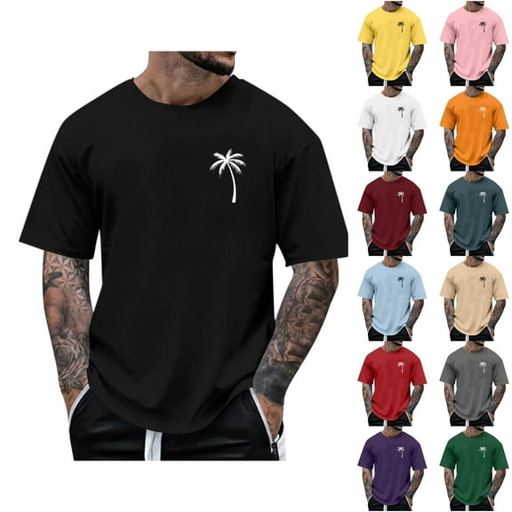 Blczomt Casual Mens T-Shirts Summer Beach Palm Tree Printed Graphic Tees Short Sleeve Black Crew Neck Loose Mens Clothing