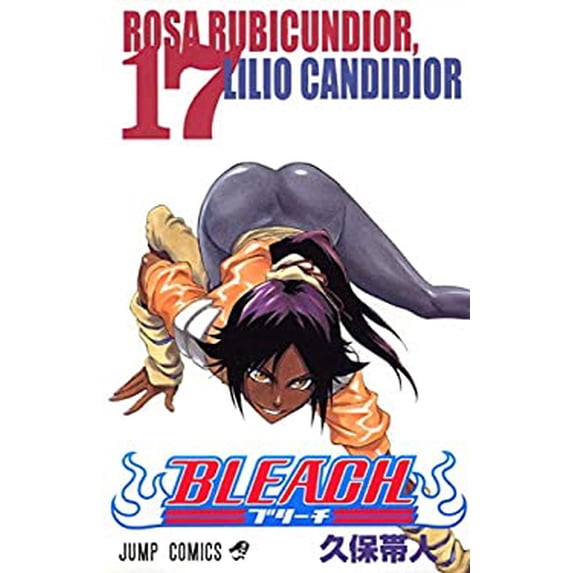 Pre-Owned BLEACH 17 9784088738178