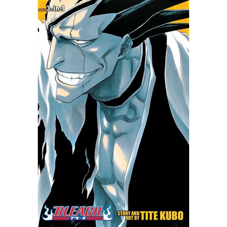 Bleach (3-in-1 Edition): Bleach (3-in-1 Edition), Vol. 5