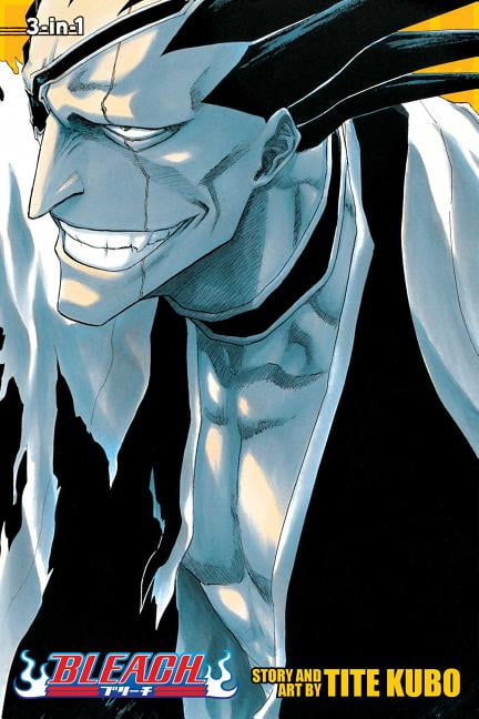 Bleach: Bleach, Vol. 12 (Series #12) (Paperback) - Walmart.com
