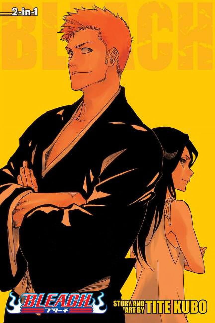 BLEACH Manga Volume 3