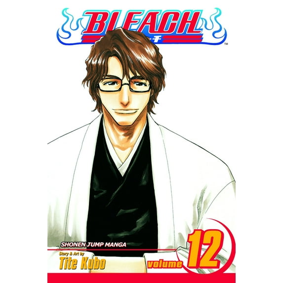 Bleach: Bleach, Vol. 12 (Series #12) (Paperback)